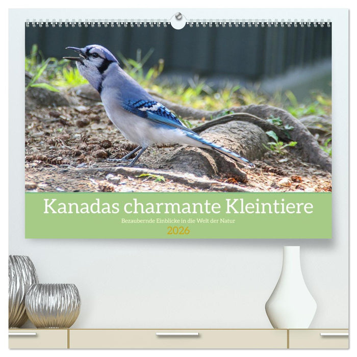 Kanadas charmante Kleintiere - Bezaubernde Einblicke in die Natur (CALVENDO Premium Wandkalender 2026)
