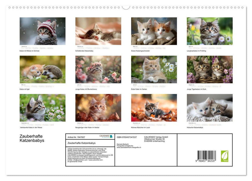 Zauberhafte Katzenbabys (CALVENDO Premium Wandkalender 2026)