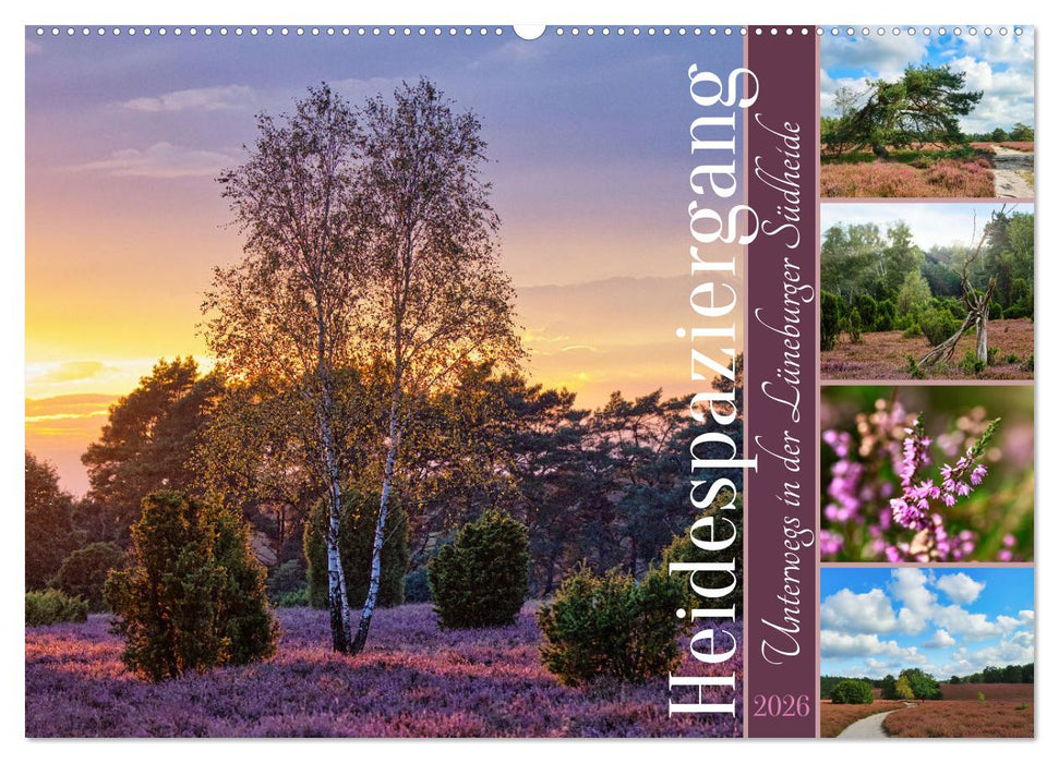 Heidespaziergang (CALVENDO Wandkalender 2026)