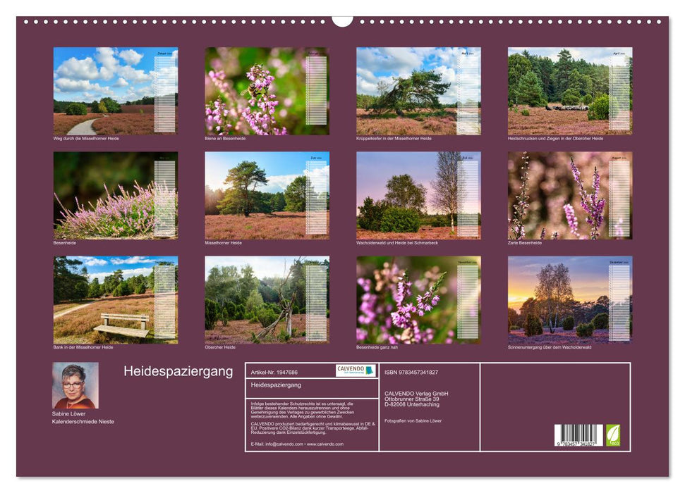 Heidespaziergang (CALVENDO Wandkalender 2026)