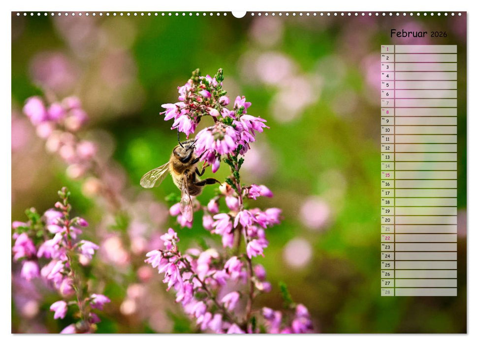 Heidespaziergang (CALVENDO Wandkalender 2026)