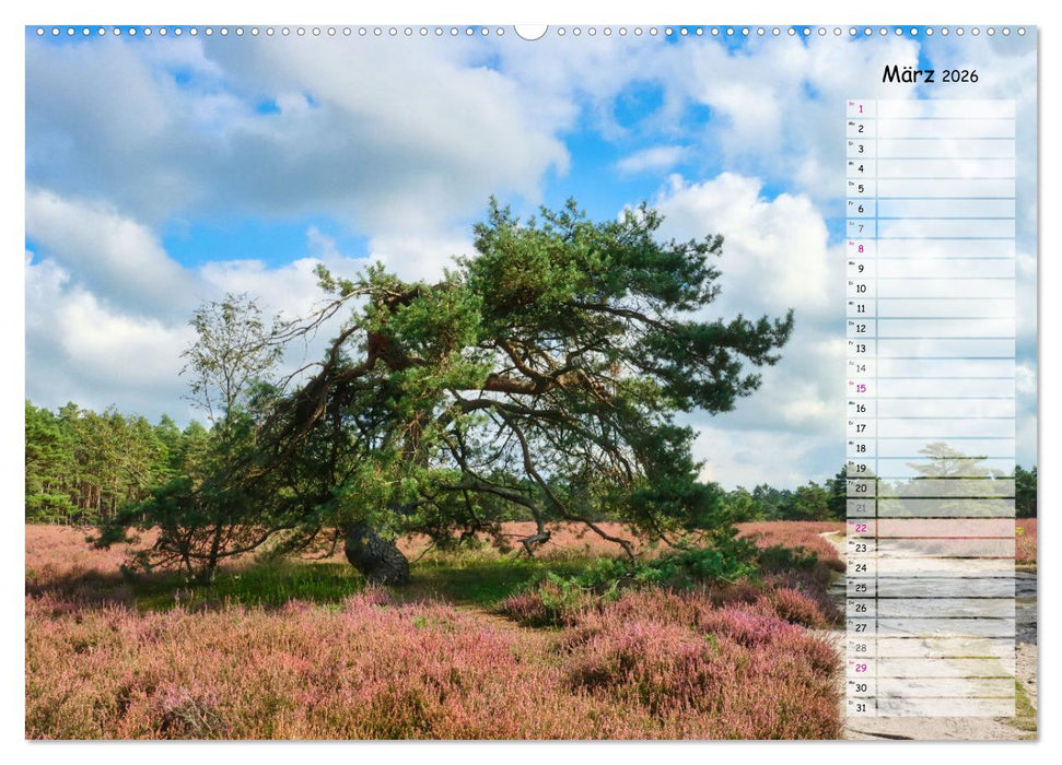 Heidespaziergang (CALVENDO Premium Wandkalender 2026)