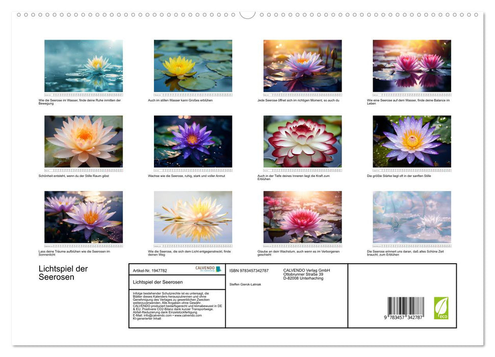 Lichtspiel der Seerosen (CALVENDO Premium Wandkalender 2026)