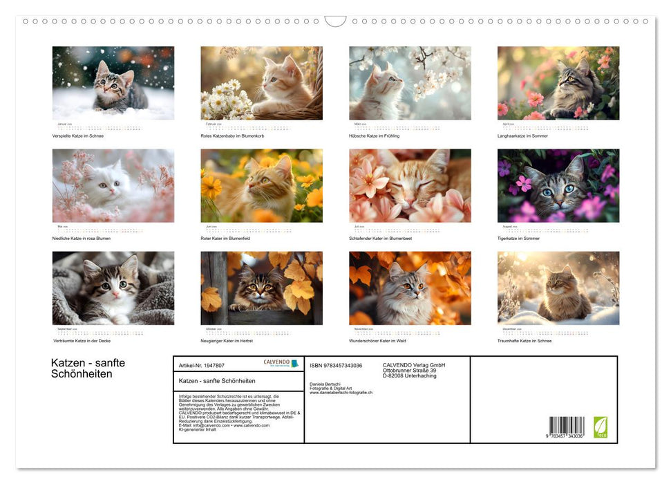 Katzen - sanfte Schönheiten (CALVENDO Wandkalender 2026)