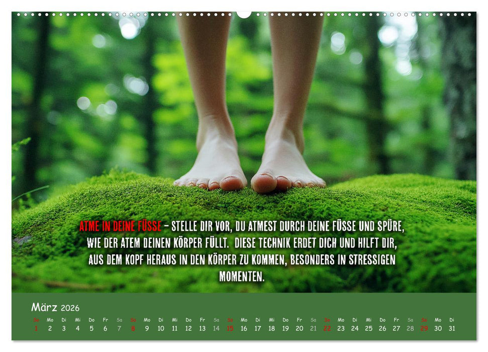 Dein Achtsamkeitskalender (CALVENDO Premium Wandkalender 2026)