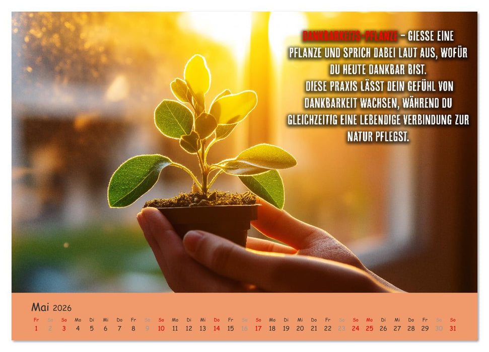 Dein Achtsamkeitskalender (CALVENDO Premium Wandkalender 2026)