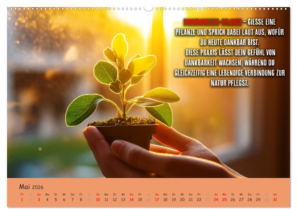 Dein Achtsamkeitskalender (CALVENDO Premium Wandkalender 2026)