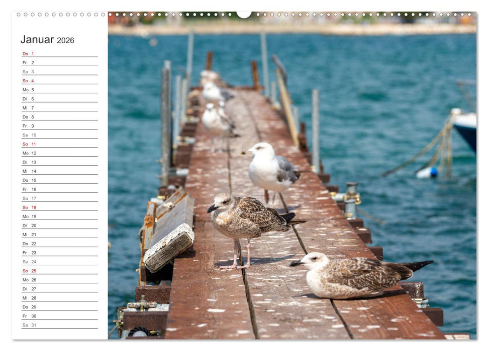 Koper - Slowenien Kalender (CALVENDO Premium Wandkalender 2026)