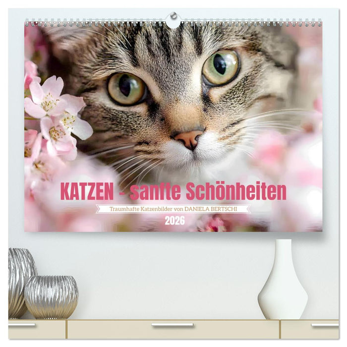 Katzen - sanfte Schönheiten (CALVENDO Premium Wandkalender 2026)