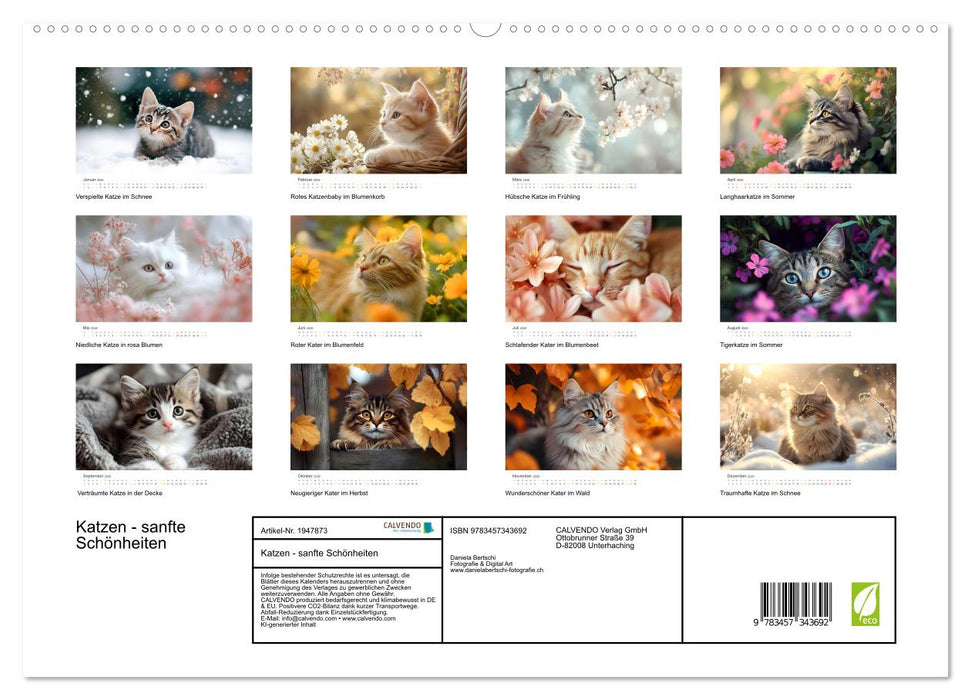 Katzen - sanfte Schönheiten (CALVENDO Premium Wandkalender 2026)