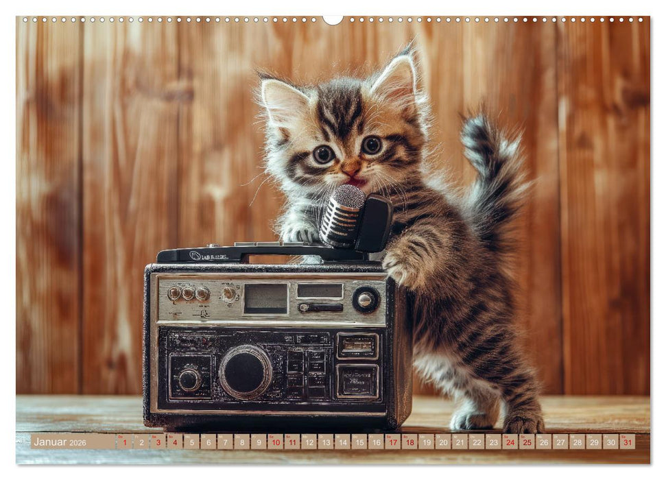 Miau-sikalische Momente (CALVENDO Wandkalender 2026)