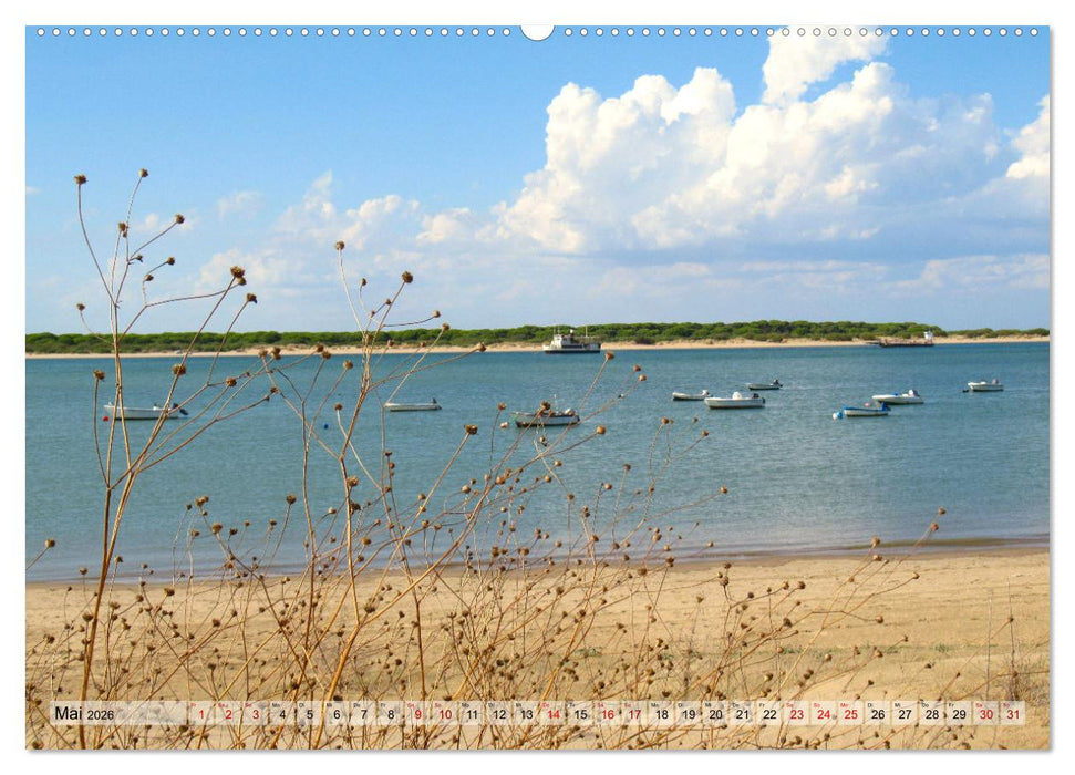 Flüsse weltweit (CALVENDO Wandkalender 2026)