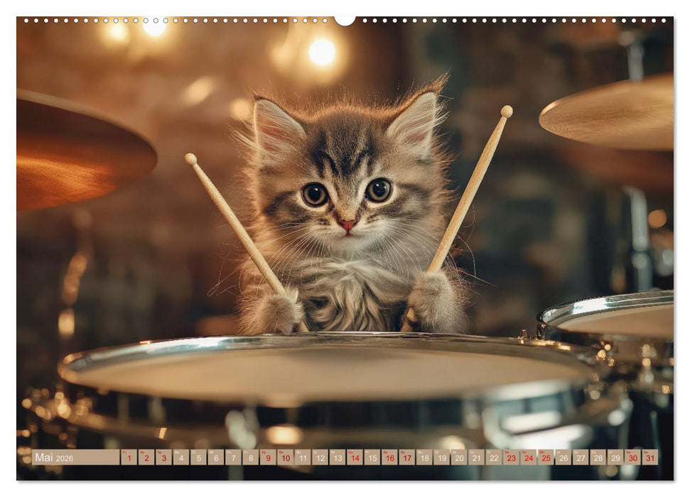 Miau-sikalische Momente (CALVENDO Premium Wandkalender 2026)