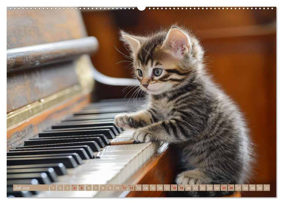 Miau-sikalische Momente (CALVENDO Premium Wandkalender 2026)