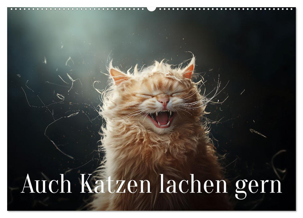 Auch Katzen lachen gern (CALVENDO Wandkalender 2026)