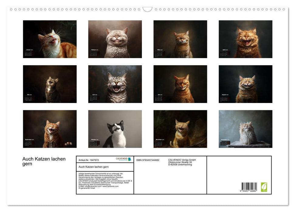 Auch Katzen lachen gern (CALVENDO Wandkalender 2026)