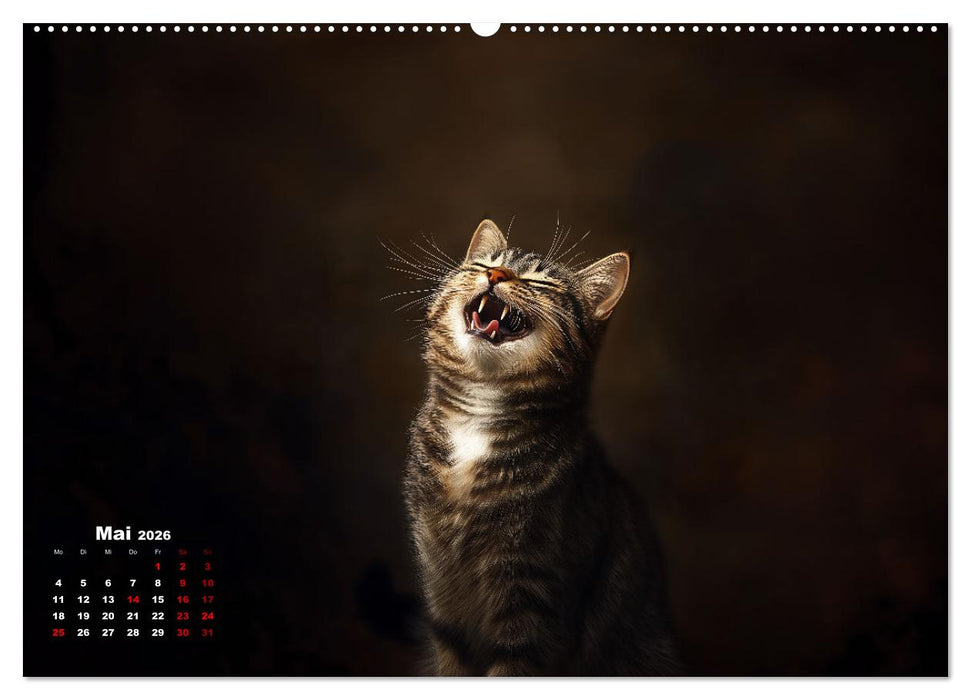 Auch Katzen lachen gern (CALVENDO Wandkalender 2026)