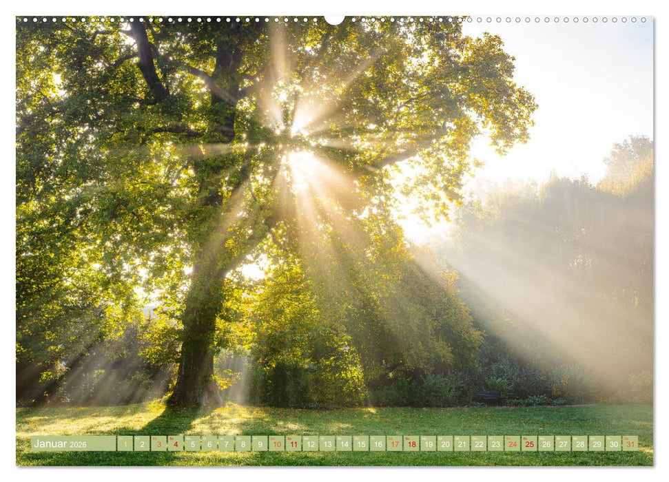 Herbst im Dieskauer Park (CALVENDO Wandkalender 2026)