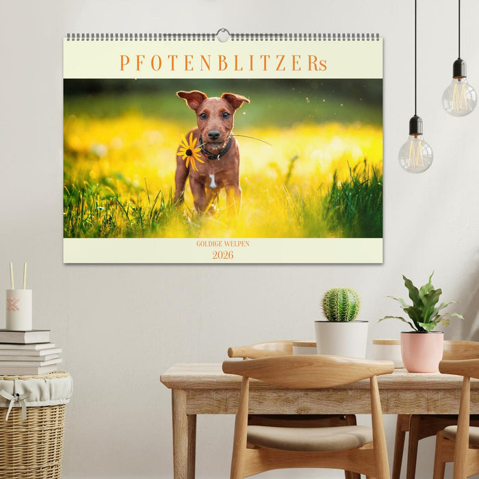 Pfotenblitzers Goldige Welpen (CALVENDO Wandkalender 2026)