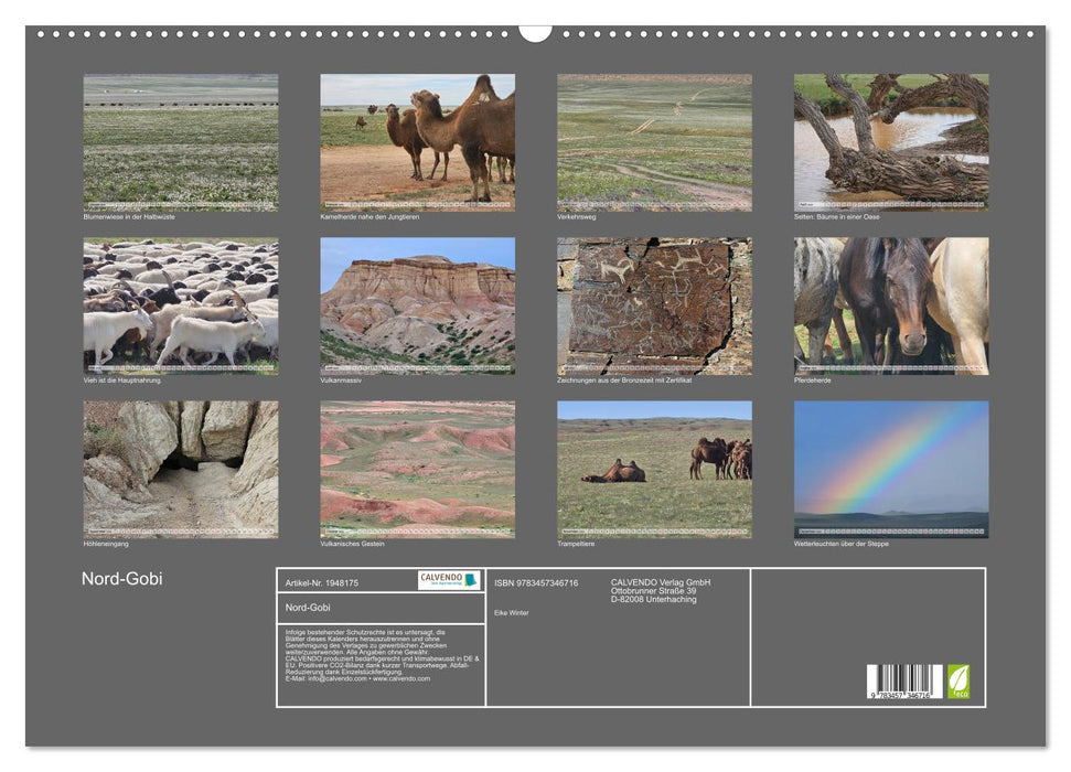 Nord-Gobi (CALVENDO Wandkalender 2026)