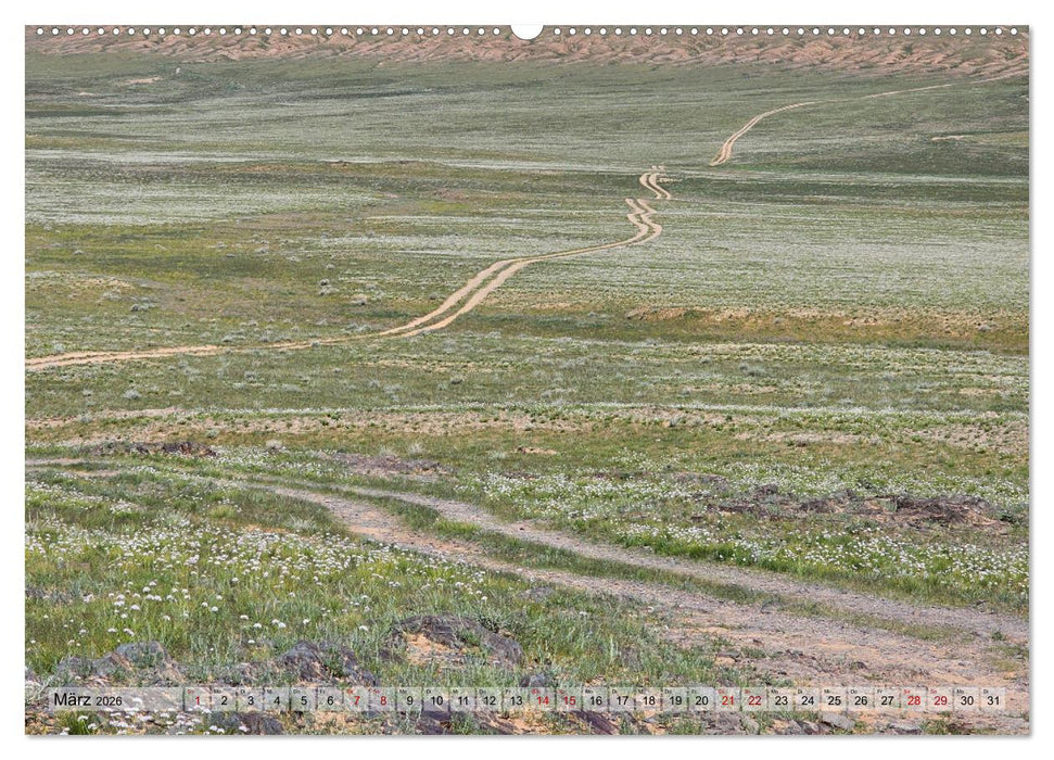 Nord-Gobi (CALVENDO Wandkalender 2026)