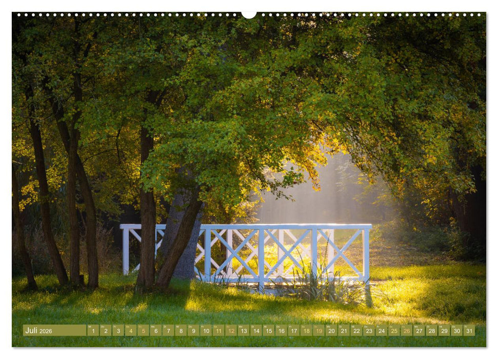Herbst im Dieskauer Park (CALVENDO Premium Wandkalender 2026)