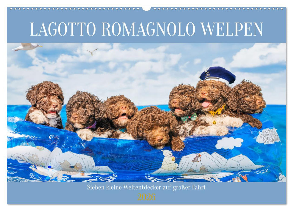 Lagotto Romagnolo Welpen - Sieben kleine Weltentdecker auf großer Fahrt (CALVENDO Wandkalender 2026)