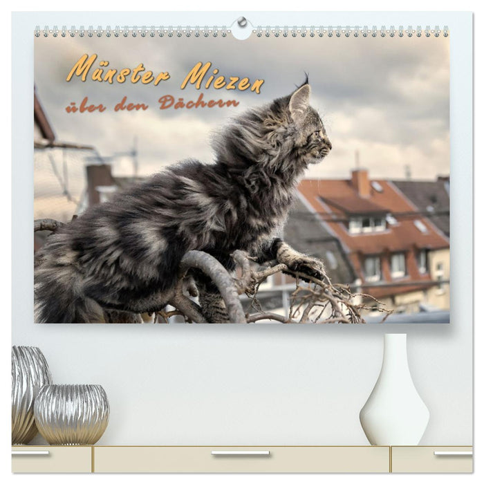 Münster Miezen - über den Dächern (CALVENDO Premium Wandkalender 2026)