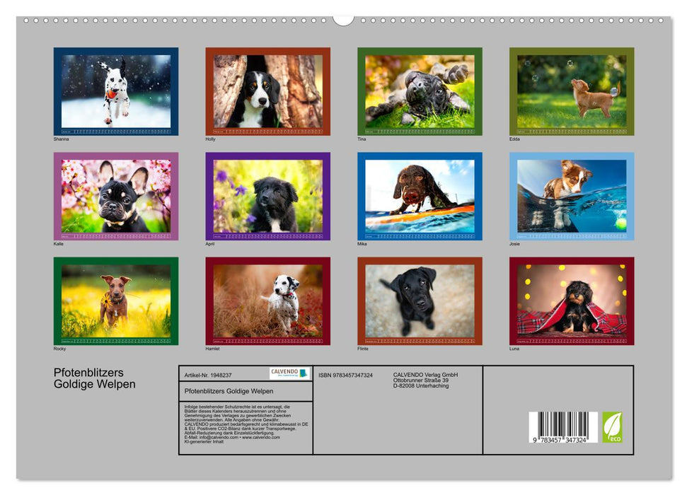 Pfotenblitzers Goldige Welpen (CALVENDO Premium Wandkalender 2026)