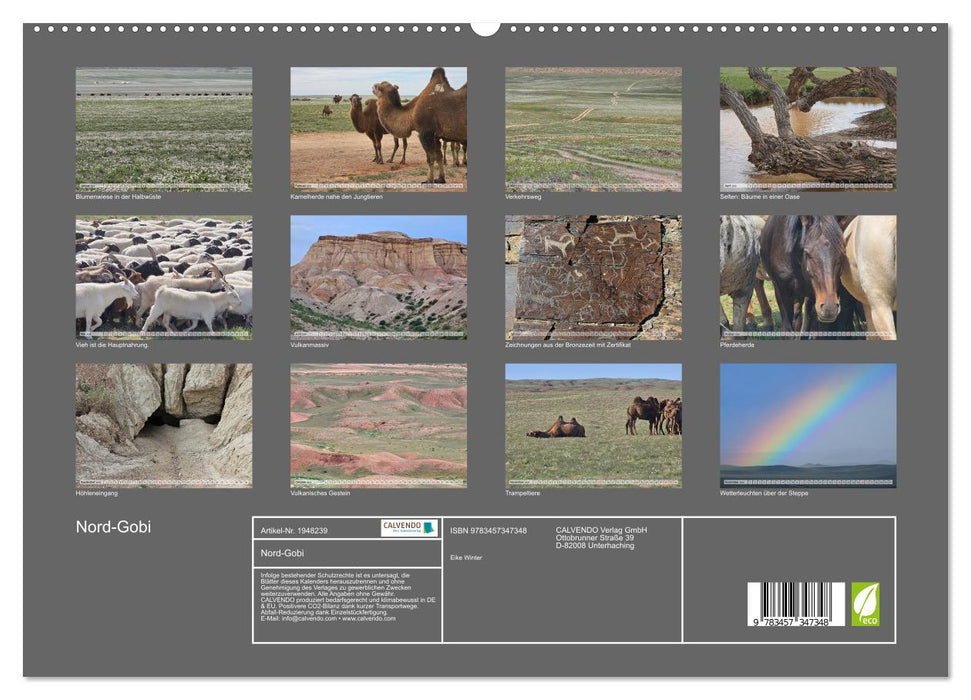 Nord-Gobi (CALVENDO Premium Wandkalender 2026)