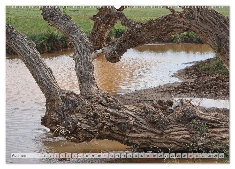 Nord-Gobi (CALVENDO Premium Wandkalender 2026)