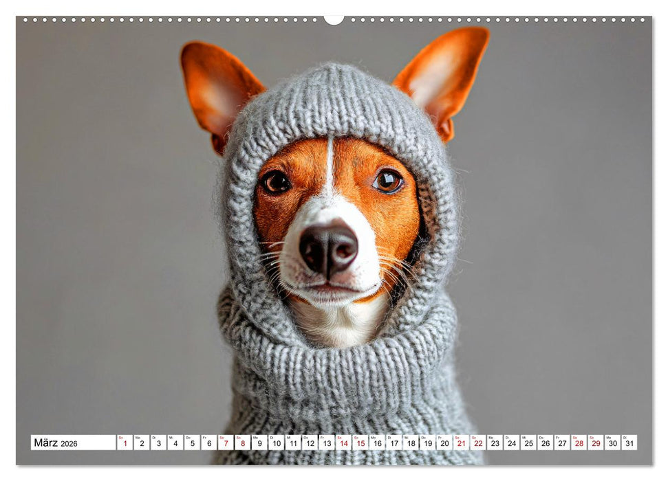 Strick-Pfoten - Flauschige Freunde in gestrickten Meisterwerken (CALVENDO Wandkalender 2026)