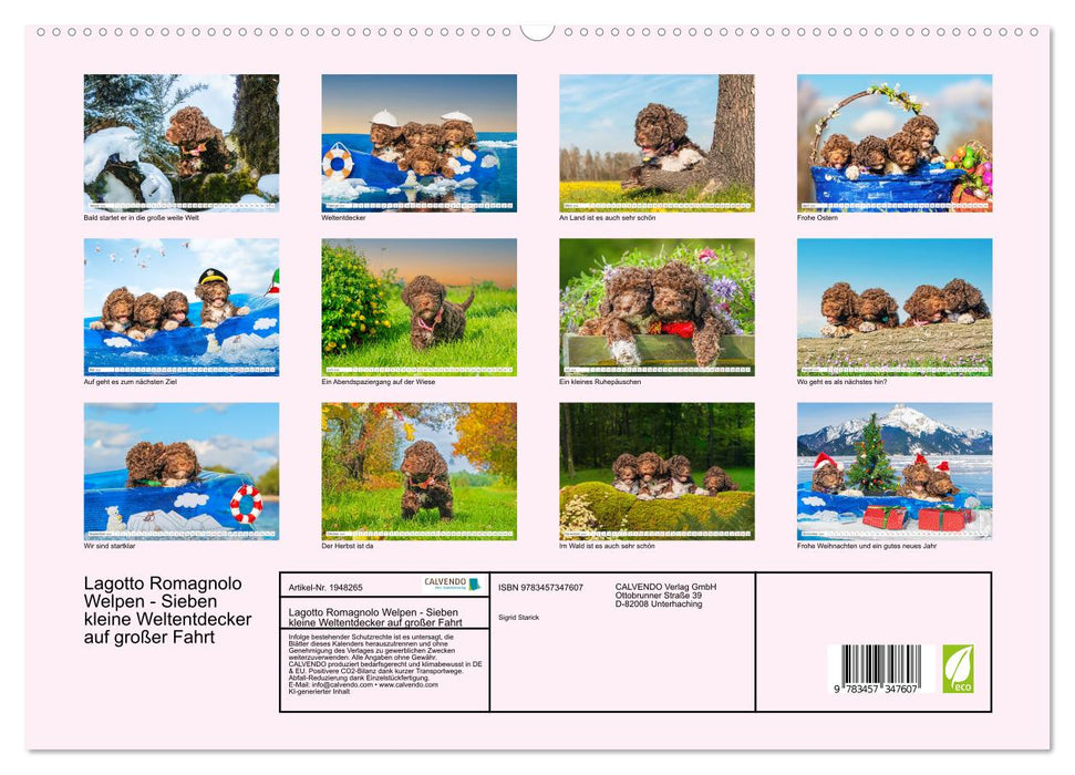 Lagotto Romagnolo Welpen - Sieben kleine Weltentdecker auf großer Fahrt (CALVENDO Premium Wandkalender 2026)