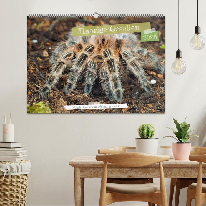 Haarige Gesellen (CALVENDO Wandkalender 2026)