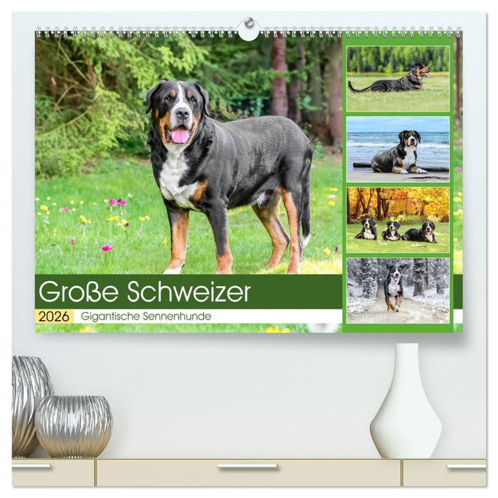 Große Schweizer - Gigantische Sennenhunde (CALVENDO Premium Wandkalender 2026)