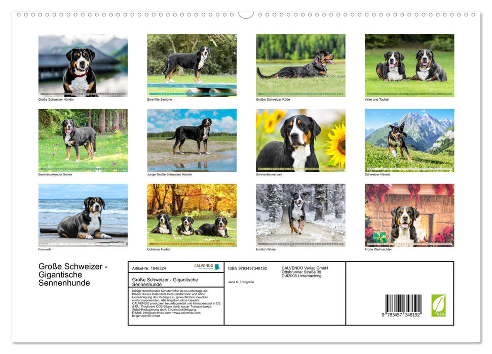 Große Schweizer - Gigantische Sennenhunde (CALVENDO Premium Wandkalender 2026)