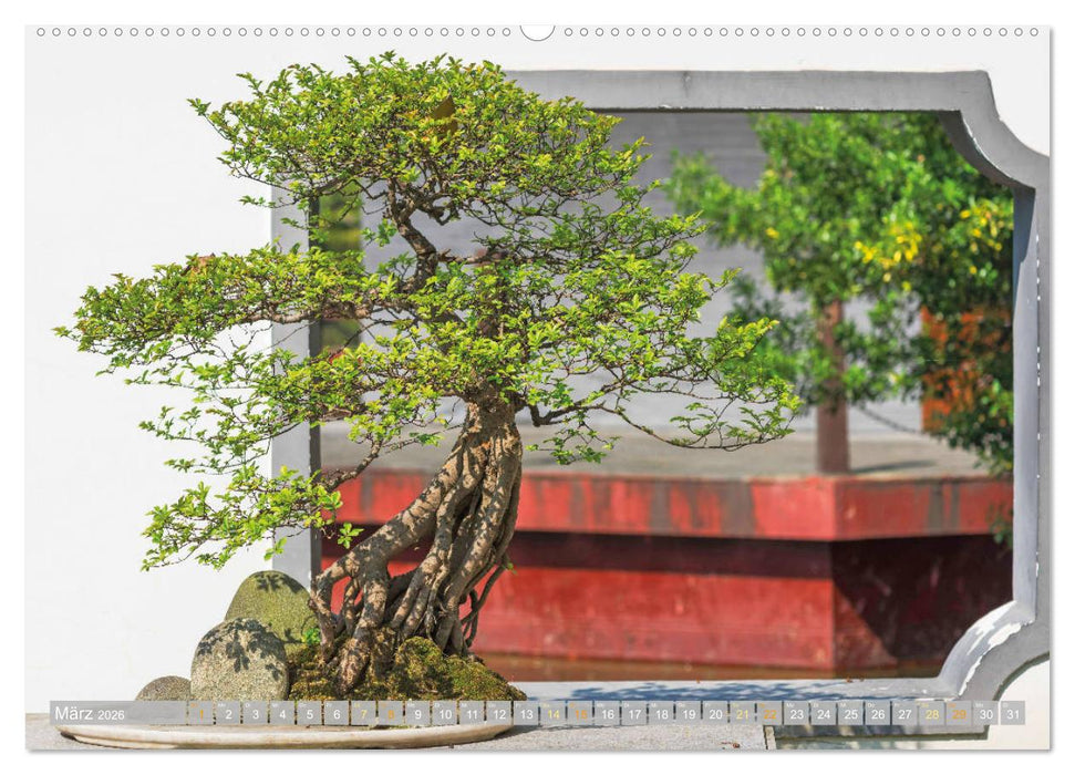 Gartenkunst aus Japan: Bonsai (CALVENDO Wandkalender 2026)
