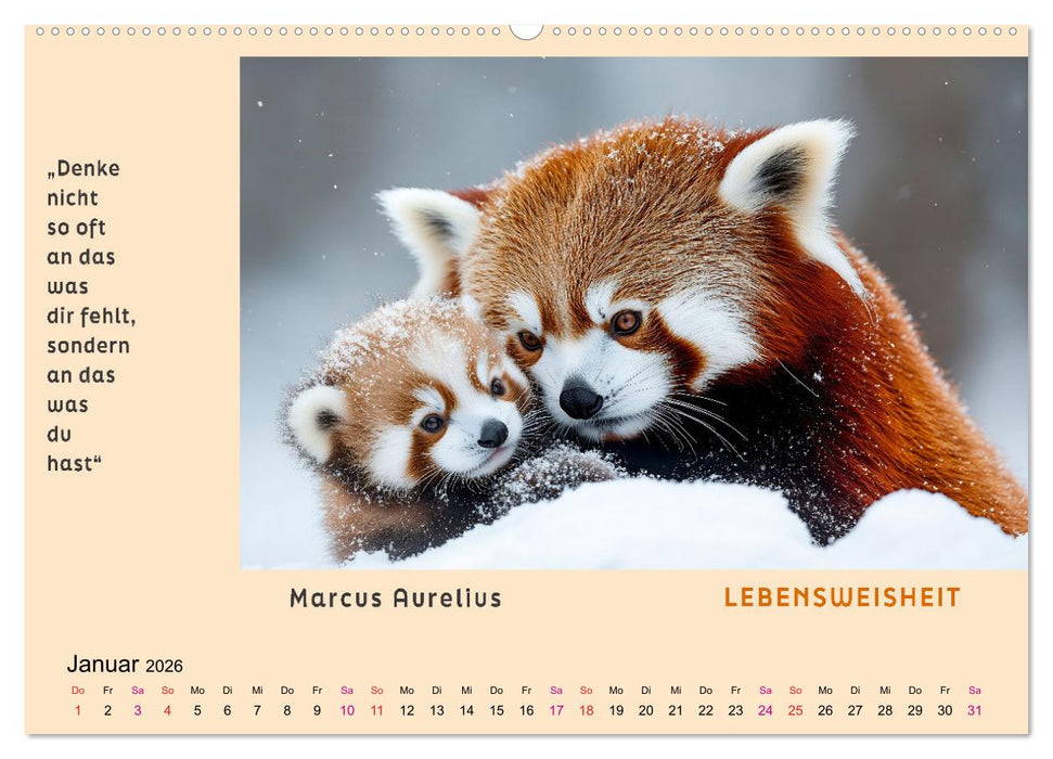 Pfiffig und weise (CALVENDO Wandkalender 2026)