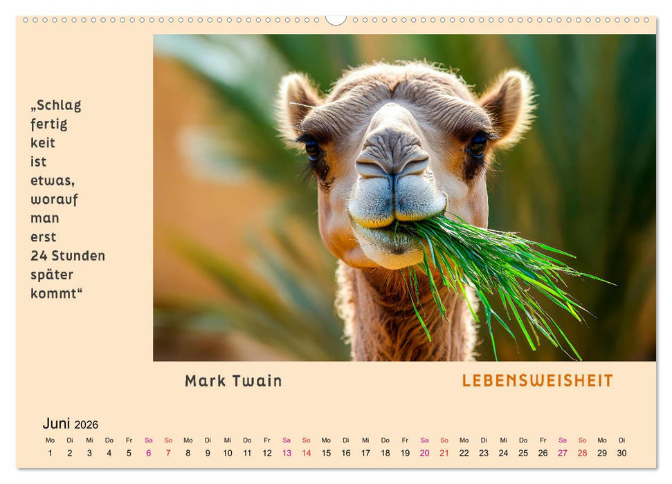 Pfiffig und weise (CALVENDO Wandkalender 2026)