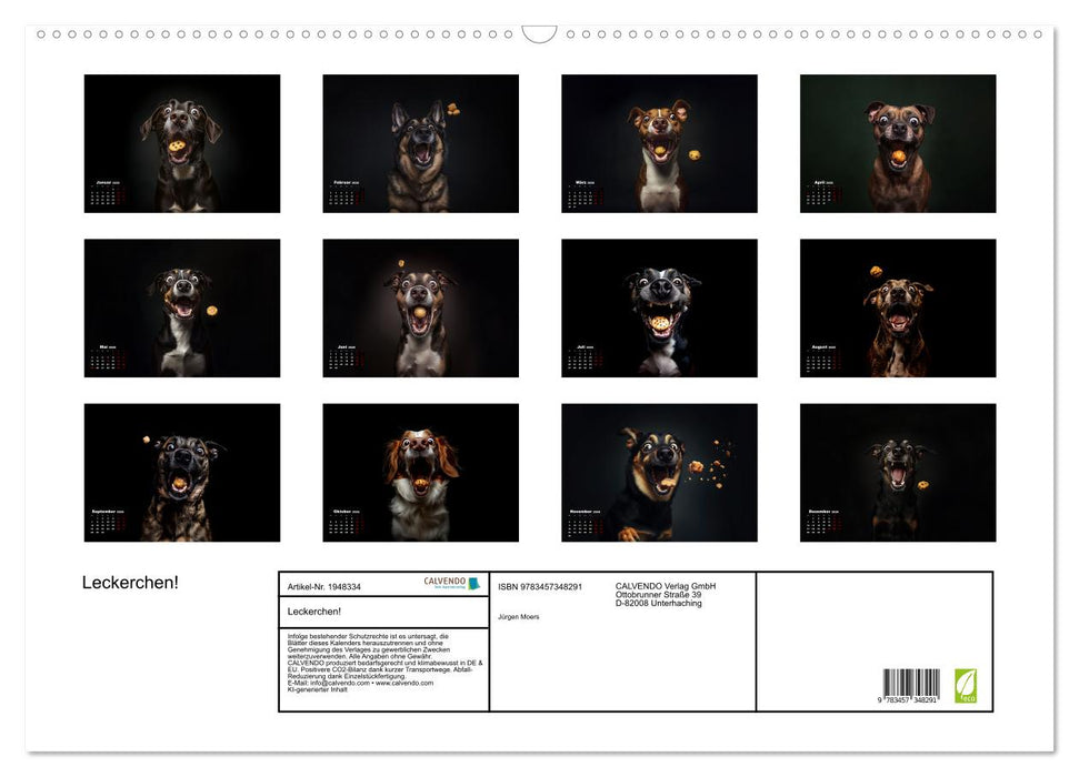 Leckerchen! (CALVENDO Wandkalender 2026)