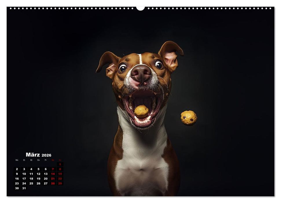 Leckerchen! (CALVENDO Wandkalender 2026)