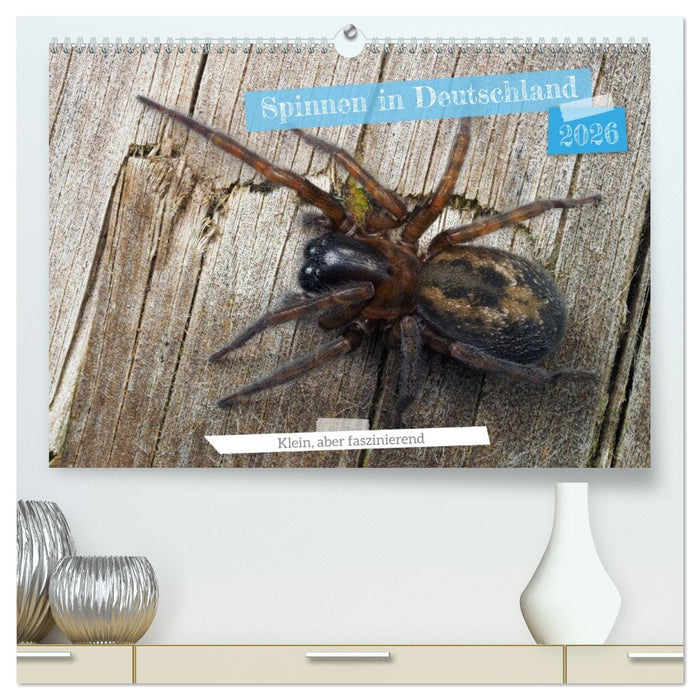 Spinnen in Deutschland (CALVENDO Premium Wandkalender 2026)