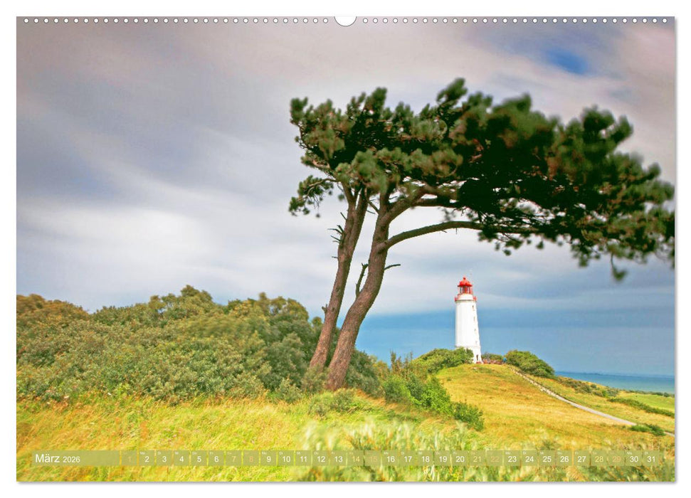 Farben und Muster der Erde (CALVENDO Wandkalender 2026)