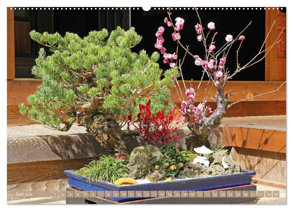 Gartenkunst aus Japan: Bonsai (CALVENDO Premium Wandkalender 2026)