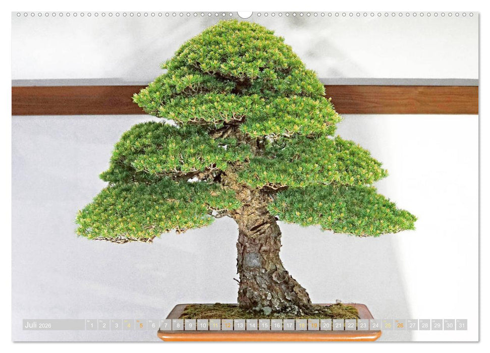 Gartenkunst aus Japan: Bonsai (CALVENDO Premium Wandkalender 2026)