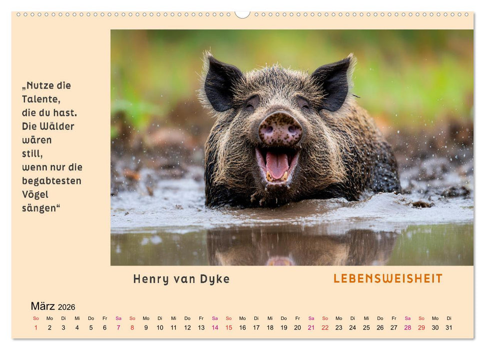 Pfiffig und weise (CALVENDO Premium Wandkalender 2026)