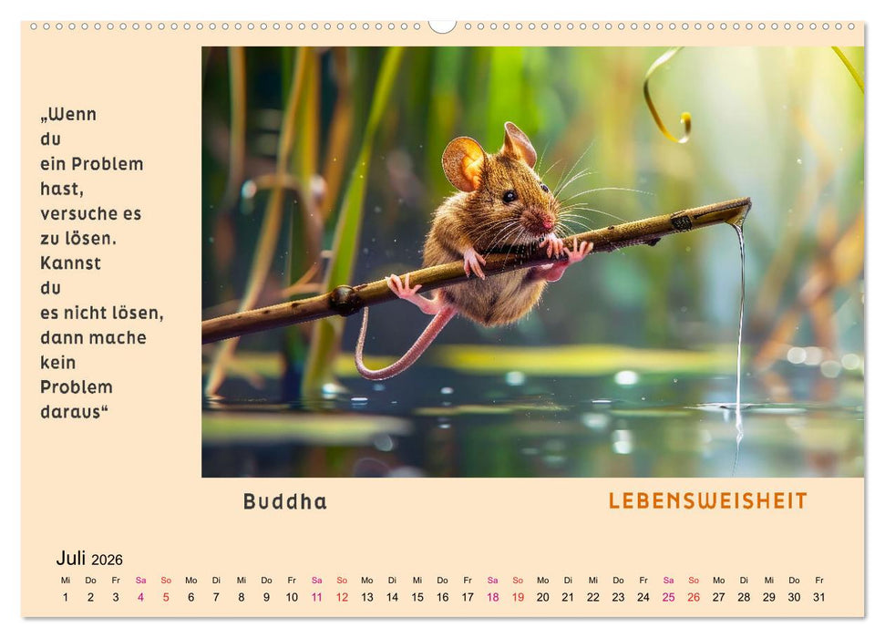 Pfiffig und weise (CALVENDO Premium Wandkalender 2026)