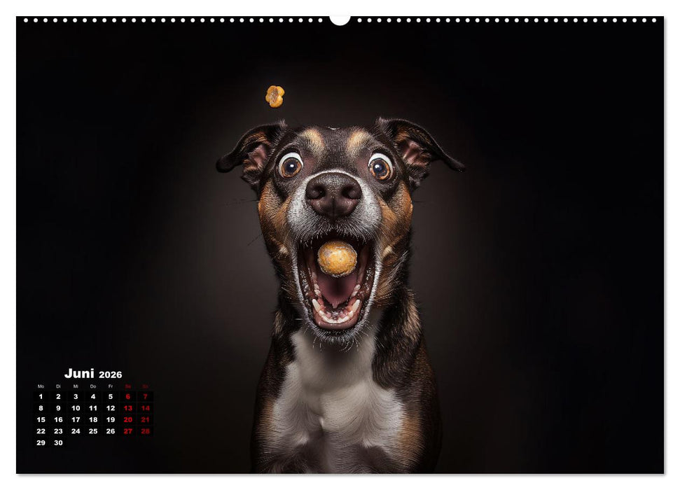 Leckerchen! (CALVENDO Premium Wandkalender 2026)
