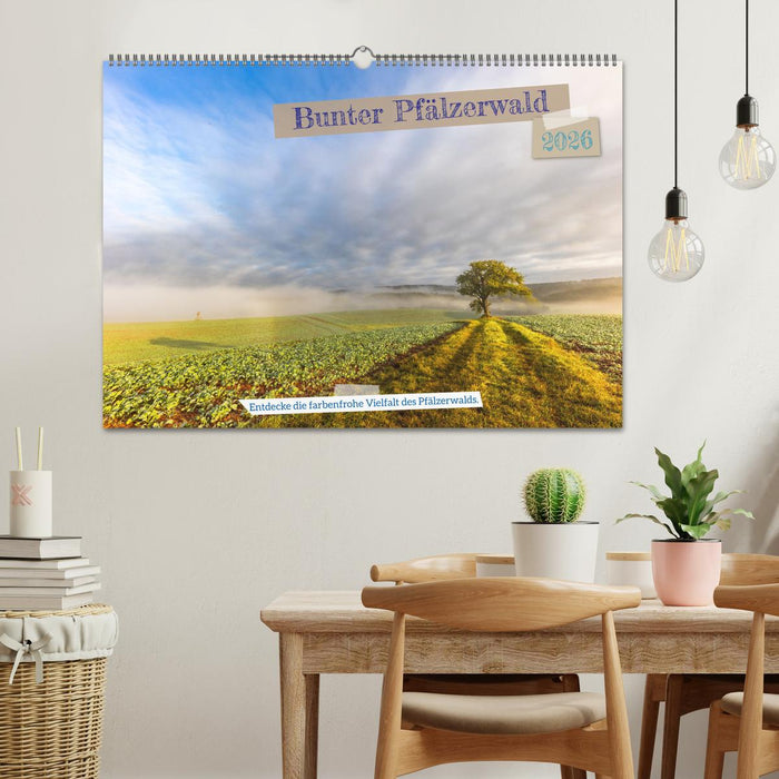 Bunter Pfälzerwald (CALVENDO Wandkalender 2026)
