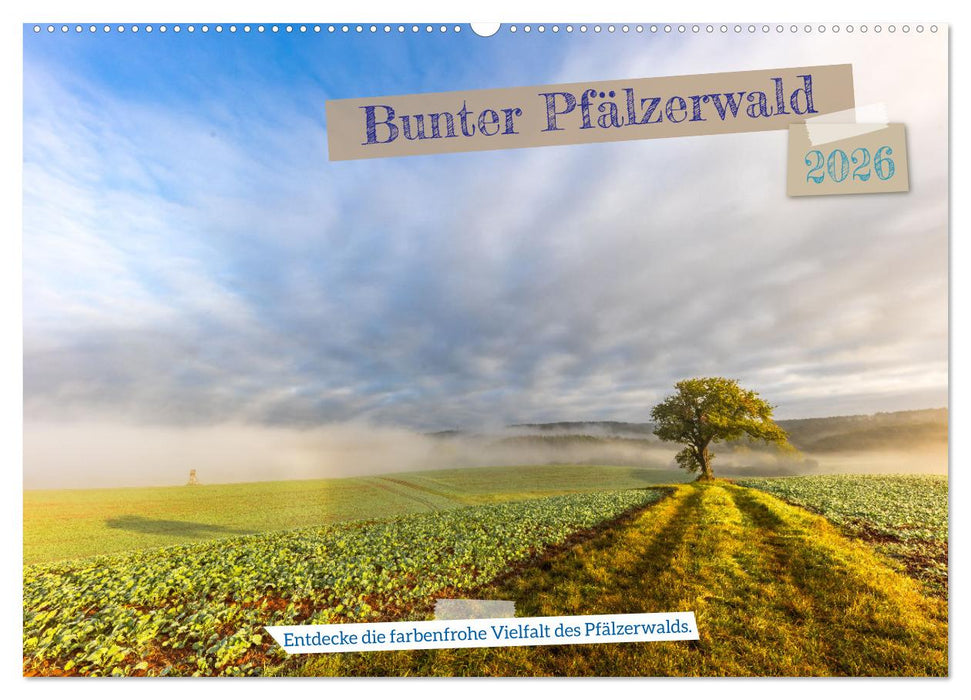 Bunter Pfälzerwald (CALVENDO Wandkalender 2026)